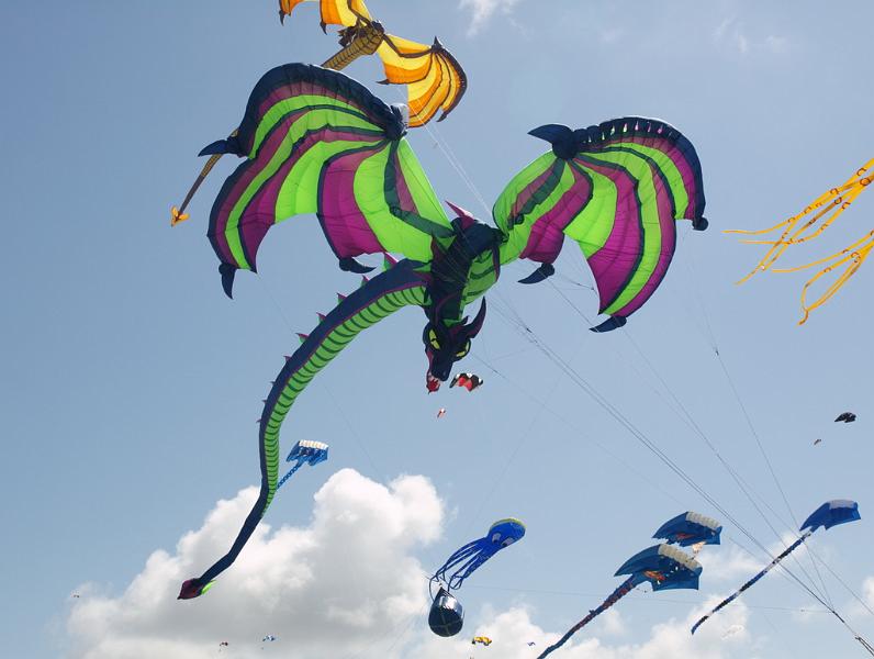 Fanø 2009 49.jpg